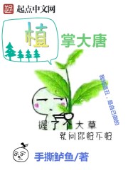 林昊许薇免费看小说